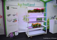 Ofcourse they showed their own breeding skills.